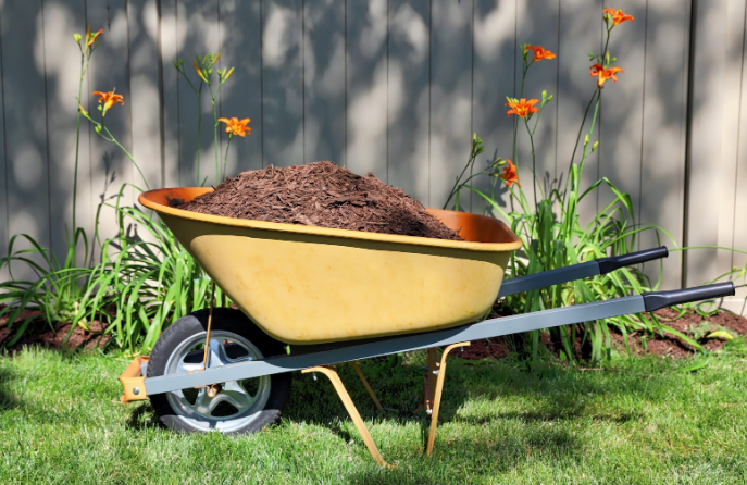 Wheelbarrow full of mulch sitting on grass in front of flowers.