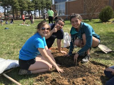 3 students pose for picture planting trees