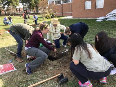 Ms Kinne helps students plant tree